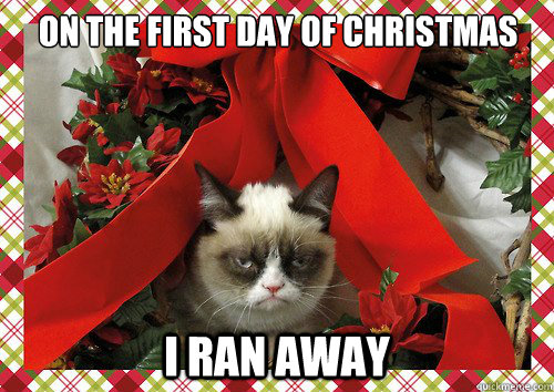 On the first day of Christmas I ran away  A Grumpy Cat Christmas