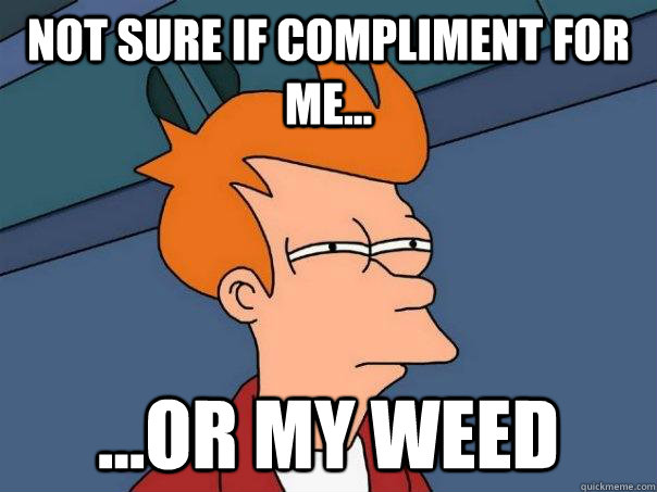 Not sure if Compliment for me... ...or my weed  Futurama Fry