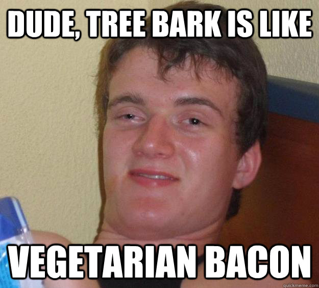 dude, tree bark is like vegetarian bacon - dude, tree bark is like vegetarian bacon  10 Guy