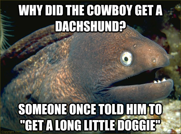 Why did the cowboy get a dachshund? Someone once told him to   