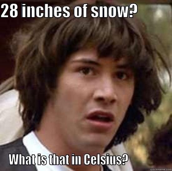 28 INCHES OF SNOW?            WHAT IS THAT IN CELSIUS?                conspiracy keanu