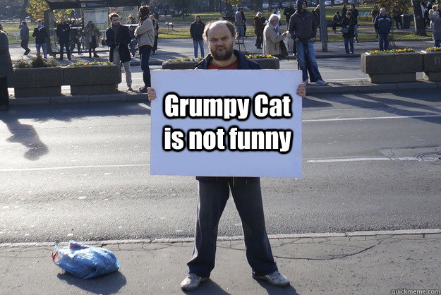 Grumpy Cat is not funny - Grumpy Cat is not funny  Grumpy Serbian