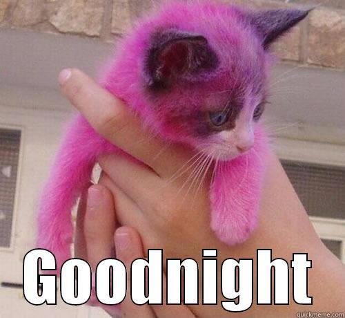 Pink kitty -  GOODNIGHT Misc