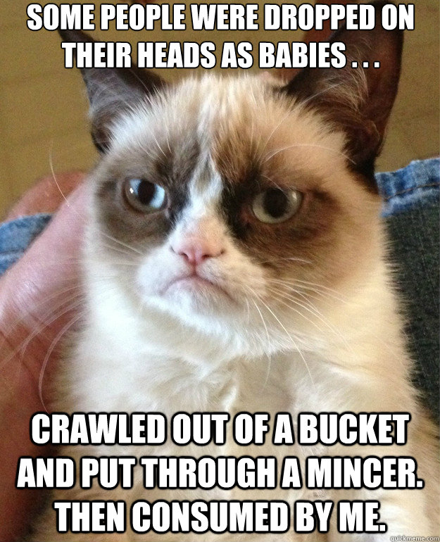 some people were dropped on their heads as babies . . . crawled out of a bucket and put through a mincer. Then consumed by me. - some people were dropped on their heads as babies . . . crawled out of a bucket and put through a mincer. Then consumed by me.  Misc