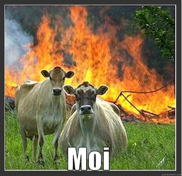 Evil cows moi -  MOI Evil cows