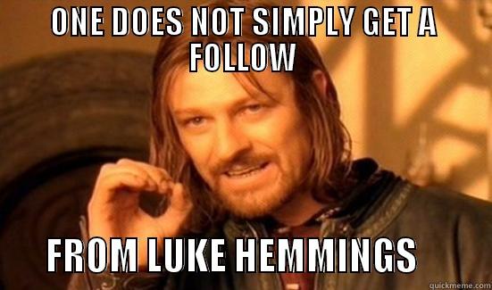 ONE DOES NOT SIMPLY GET A FOLLOW        FROM LUKE HEMMINGS          Boromir