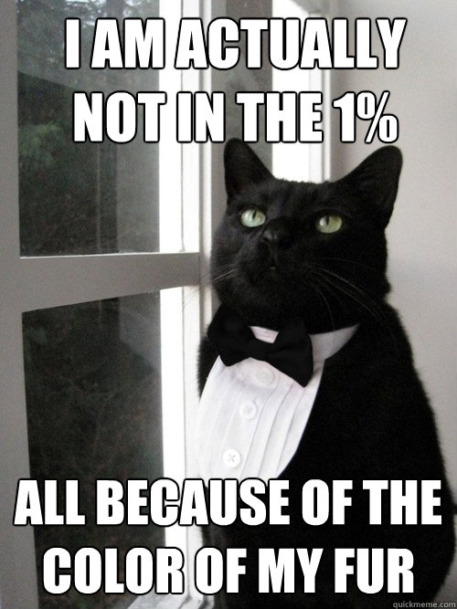 I am actually NOT in the 1% all because of the color of my fur  One Percent Cat