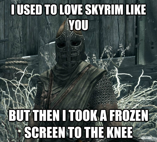 i used to love skyrim like you but then i took a frozen screen to the knee - i used to love skyrim like you but then i took a frozen screen to the knee  Skyrim Guard