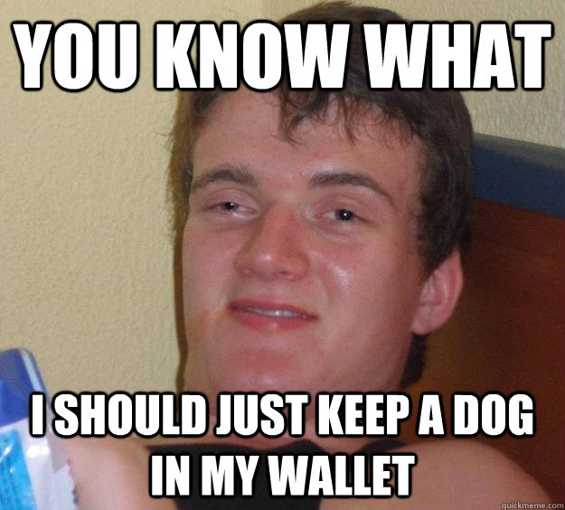 you know what i should just keep a dog in my wallet - you know what i should just keep a dog in my wallet  10 Guy