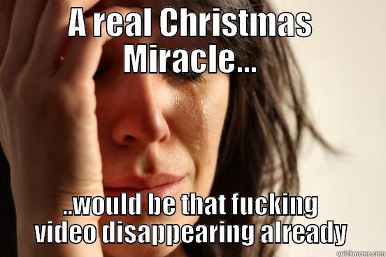 A REAL CHRISTMAS MIRACLE... ..WOULD BE THAT FUCKING VIDEO DISAPPEARING ALREADY First World Problems