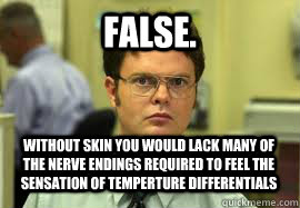 False. Without skin you would lack many of the nerve endings required to feel the sensation of temperture differentials  Dwight False