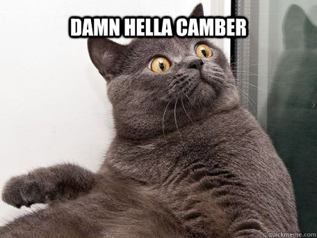 DAMN HELLA CAMBER   conspiracy cat