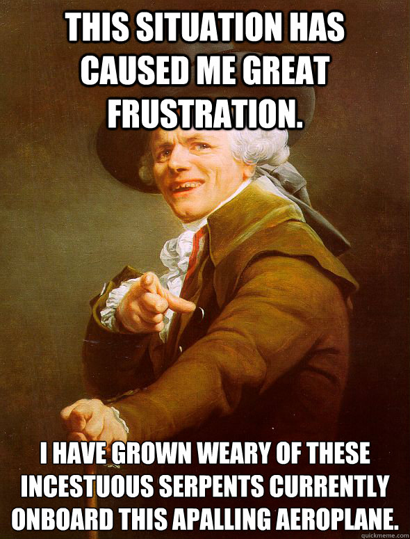 This situation has caused me great frustration. I have﻿ grown weary of these incestuous serpents currently onboard this apalling aeroplane.    Joseph Ducreux