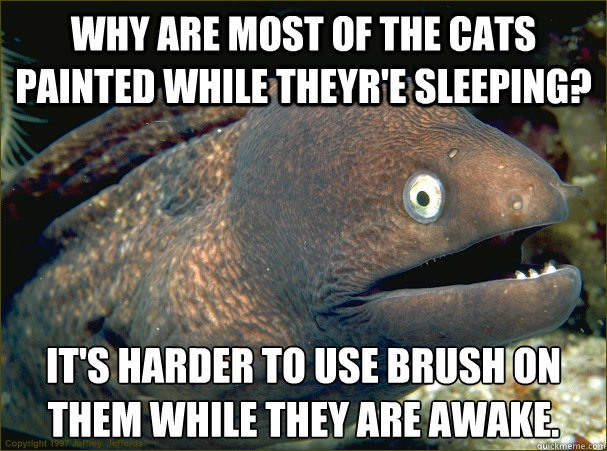 Why are most of the cats painted while theyr'e sleeping? It's harder to use brush on them while they are awake. - Why are most of the cats painted while theyr'e sleeping? It's harder to use brush on them while they are awake.  Bad Joke Eel