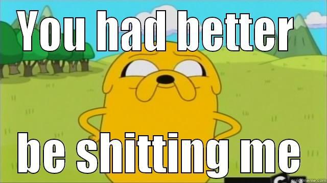 Jake the dog - YOU HAD BETTER  BE SHITTING ME Misc