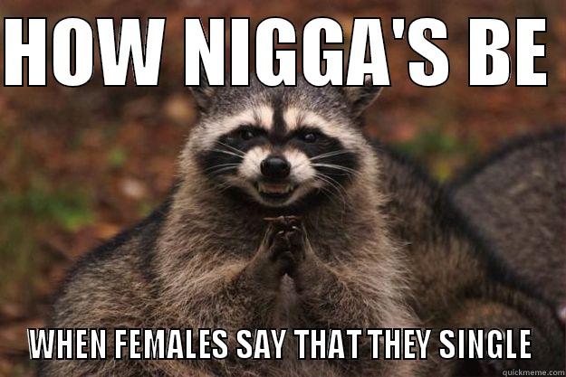 HOW NIGGA'S BE  WHEN FEMALES SAY THAT THEY SINGLE Evil Plotting Raccoon