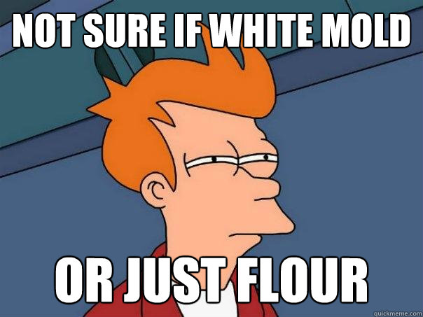 Not sure if white mold Or just flour  Futurama Fry