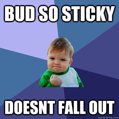 Bud So Sticky Doesnt fall out  Success Kid