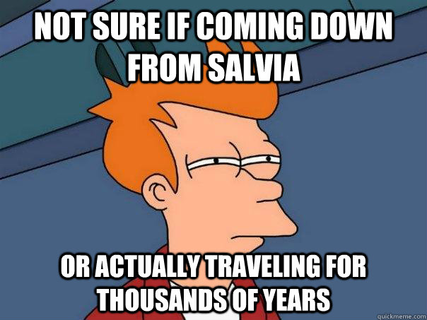 Not sure if coming down from salvia or actually traveling for thousands of years - Not sure if coming down from salvia or actually traveling for thousands of years  Futurama Fry