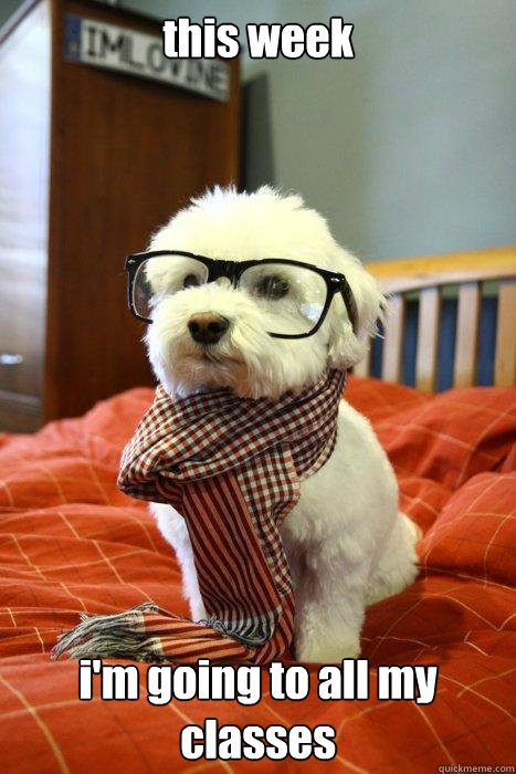 this week i'm going to all my classes  Hipster Dog