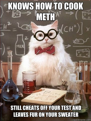 knows how to cook meth still cheats off your test and leaves fur on your sweater  Chemistry Cat