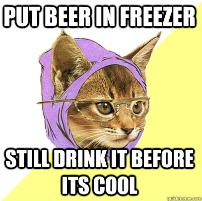 put beer in freezer still drink it before its cool - put beer in freezer still drink it before its cool  Hipster Kitty