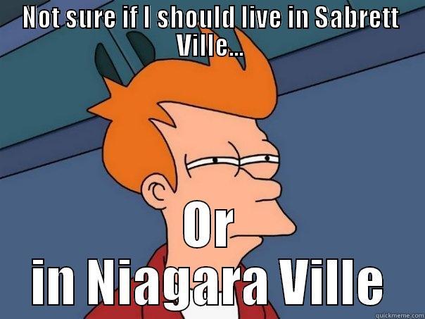 NOT SURE IF I SHOULD LIVE IN SABRETT VILLE... OR IN NIAGARA VILLE Futurama Fry