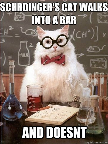 Schrödinger's cat walks into a bar and doesnt  Chemistry Cat