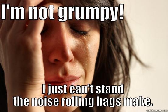 christy still mad - I'M NOT GRUMPY!              I JUST CAN'T STAND THE NOISE ROLLING BAGS MAKE. First World Problems