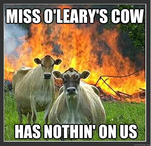 Miss O'Leary's Cow Has nothin' on us  Evil cows