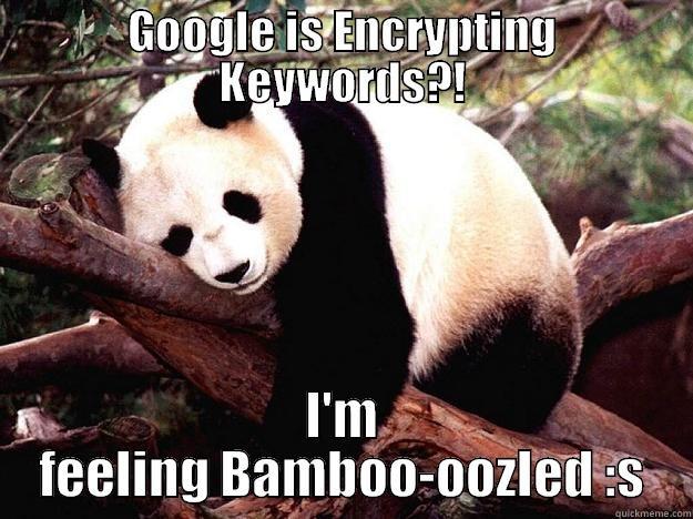 GOOGLE IS ENCRYPTING KEYWORDS?! I'M FEELING BAMBOO-OOZLED :S Procrastination Panda