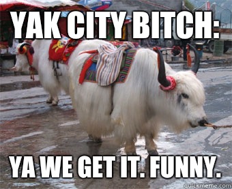 Yak City Bitch: Ya we get it. Funny.  Yaks