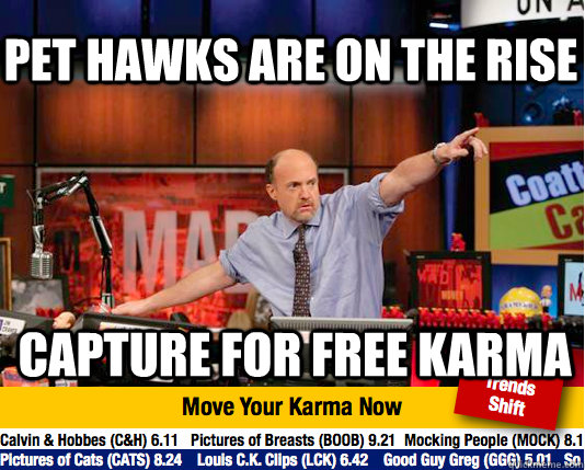 Pet Hawks are on the rise Capture for free karma - Pet Hawks are on the rise Capture for free karma  Mad Karma with Jim Cramer