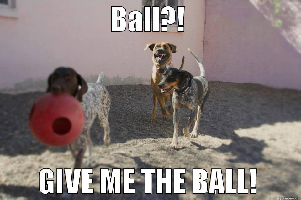 GIVE ME BALL GUYS. - BALL?! GIVE ME THE BALL! Misc