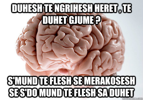 DUHESH TE NGRIHESH HERET , TE DUHET GJUME ? S'MUND TE FLESH SE MERAKOSESH SE S'DO MUND TE FLESH SA DUHET    Scumbag Brain