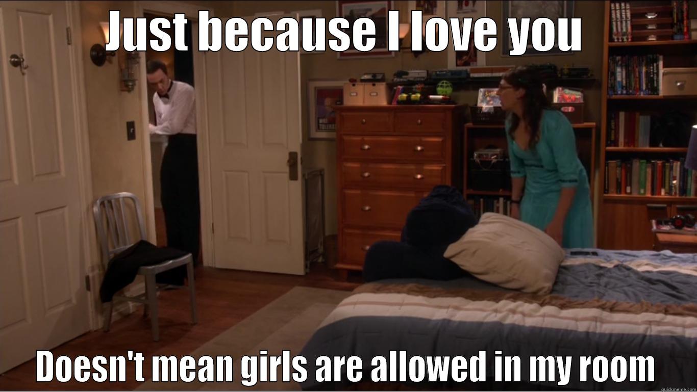 Girls aren't allowed - JUST BECAUSE I LOVE YOU DOESN'T MEAN GIRLS ARE ALLOWED IN MY ROOM Misc