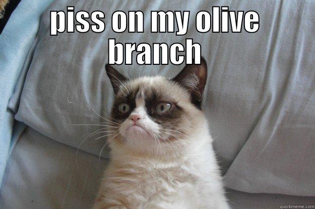 PISS ON MY OLIVE BRANCH  Grumpy Cat