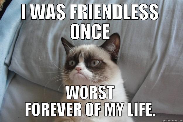 I WAS FRIENDLESS ONCE WORST FOREVER OF MY LIFE. Grumpy Cat