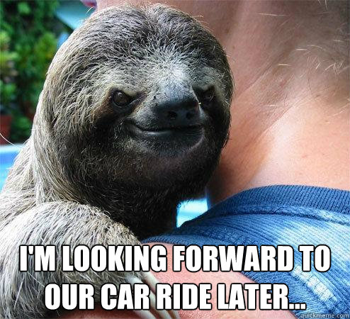 I'm looking forward to our car ride later...  Suspiciously Evil Sloth