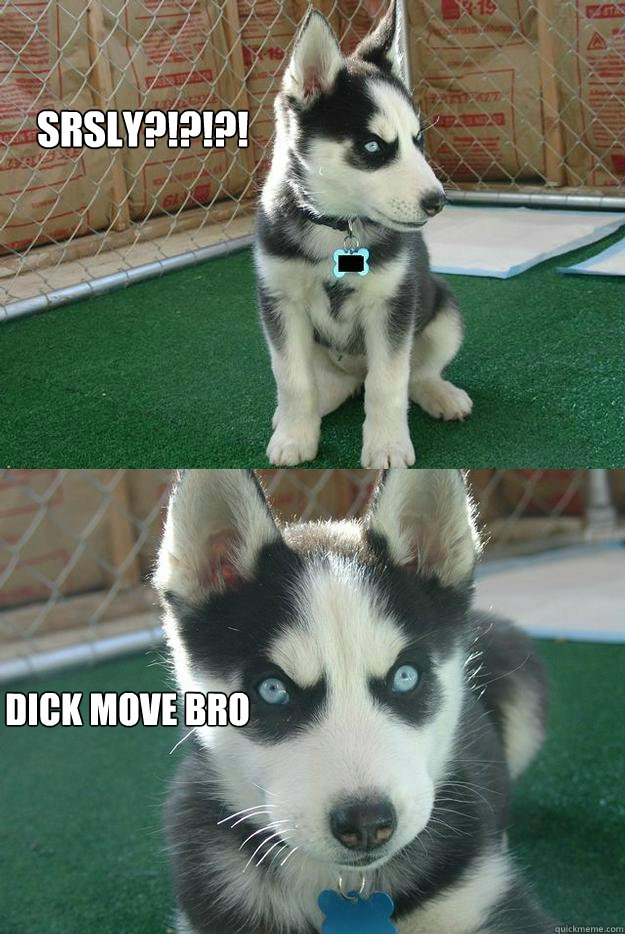 SRSLY?!?!?! Dick Move Bro  Insanity puppy