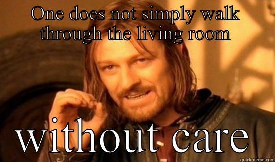 ONE DOES NOT SIMPLY WALK THROUGH THE LIVING ROOM WITHOUT CARE Boromir