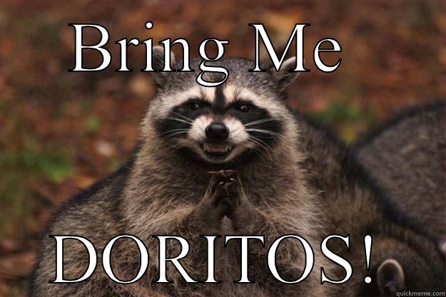 BRING ME  DORITOS! Evil Plotting Raccoon