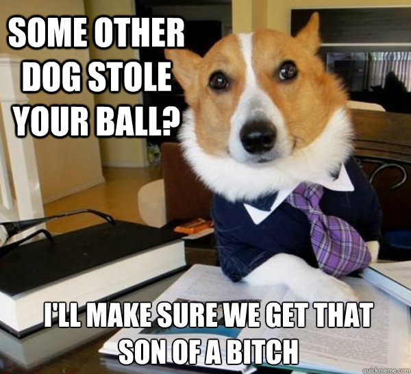 Some other dog stole your ball? I'll make sure we get that    son of a bitch  Lawyer Dog