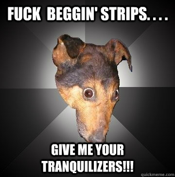 Fuck  beggin' strips. . . . Give me your tranquilizers!!!  Depression Dog