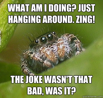 What am I doing? Just hanging around. ZING! The joke wasn't that bad, was it?  Misunderstood Spider