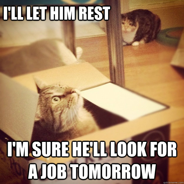 I'll let him rest I'm sure he'll look for a job tomorrow  Cats wife