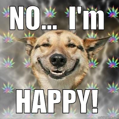 NO...  I'M HAPPY! Stoner Dog