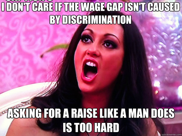 I don't care if the wage gap isn't caused by discrimination asking for a raise like a man does is too hard Caption 3 goes here  Feminist Nazi