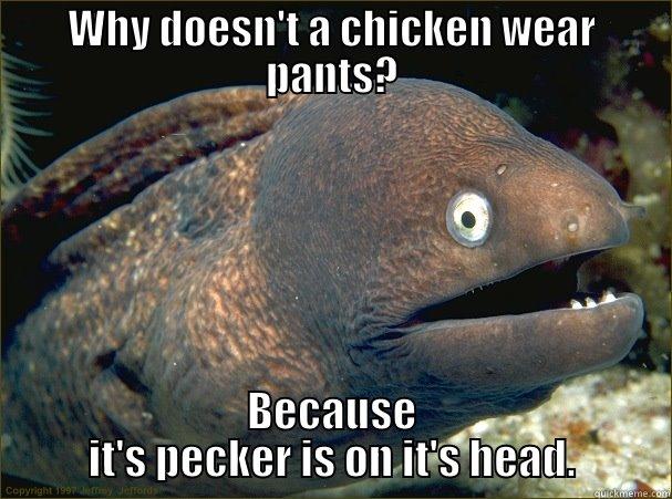 WHY DOESN'T A CHICKEN WEAR PANTS? BECAUSE IT'S PECKER IS ON IT'S HEAD. Bad Joke Eel