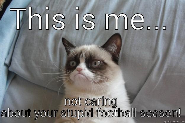 I hate football! - THIS IS ME... NOT CARING ABOUT YOUR STUPID FOOTBALL SEASON! Grumpy Cat